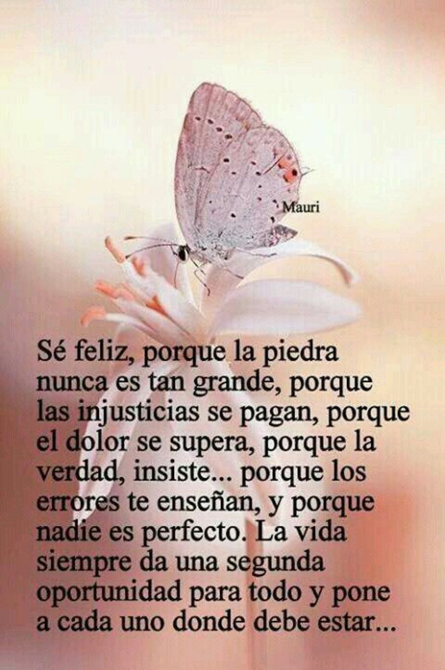 Bellas frases para compartir en WhatsApp 15