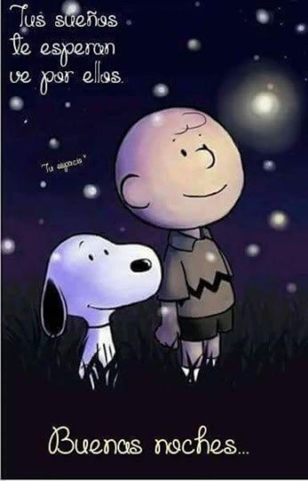 Bellas imágenes de Buenas Noches con Snoopy (3)