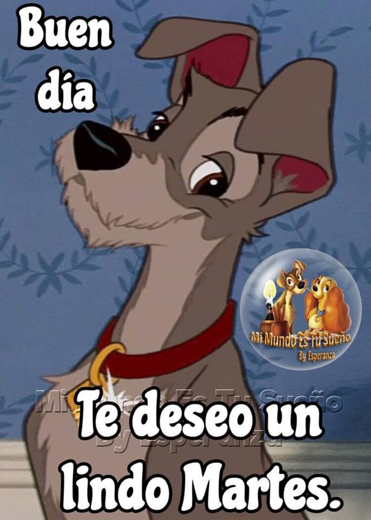 Buen Día te deseo un Lindo Martes 5