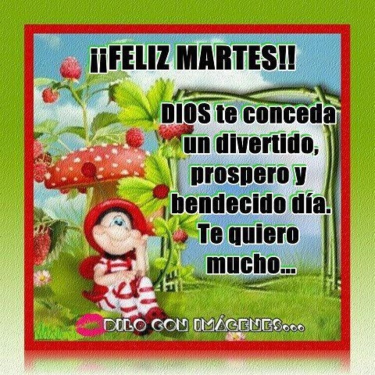 Buen Día te deseo un Lindo Martes 8