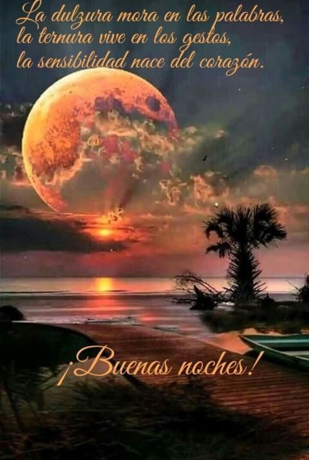 Buenas Noches nuevas imágenes 1