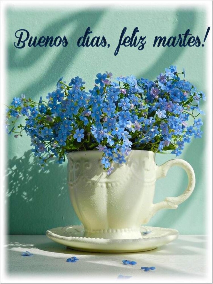 Buenos Días Feliz Martes 3