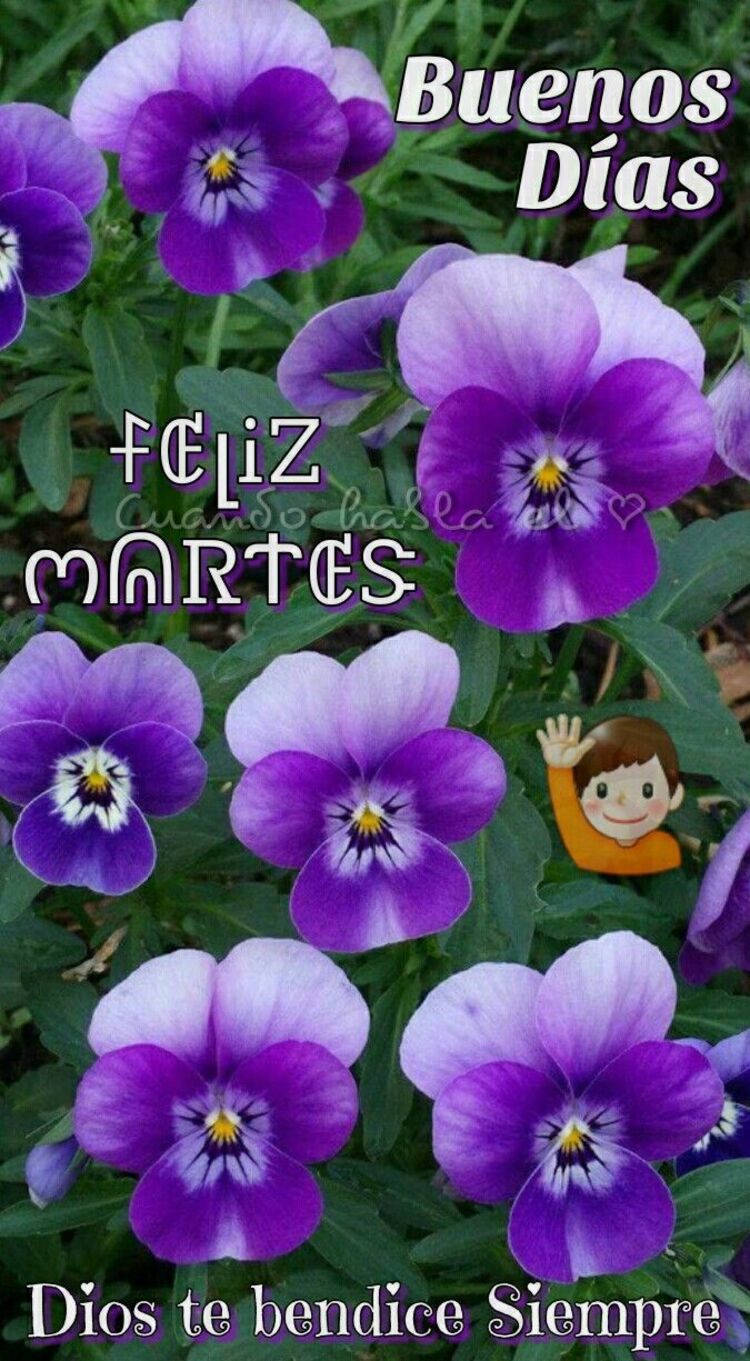 Buenos Días Feliz Martes Dios te bendiga siempre