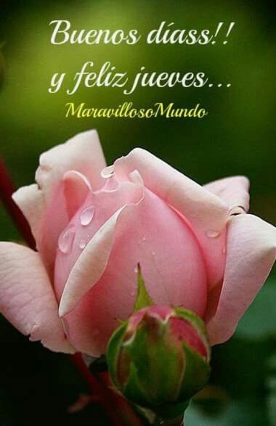 Citas y Frases para Feliz Jueves 3