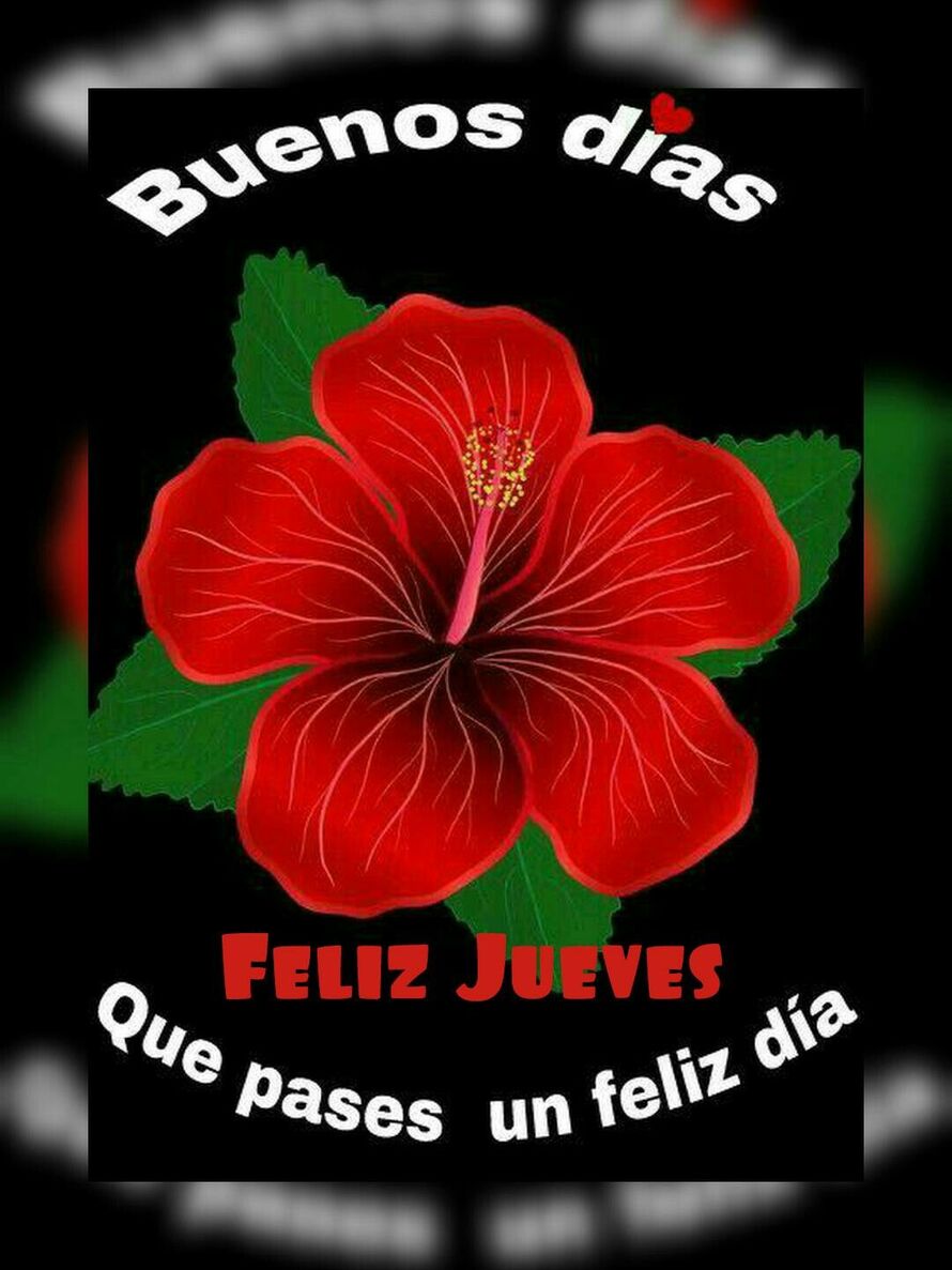 Citas y Frases para Feliz Jueves 5