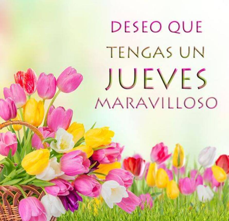 Deseo que tengas un Jueves Maravilloso