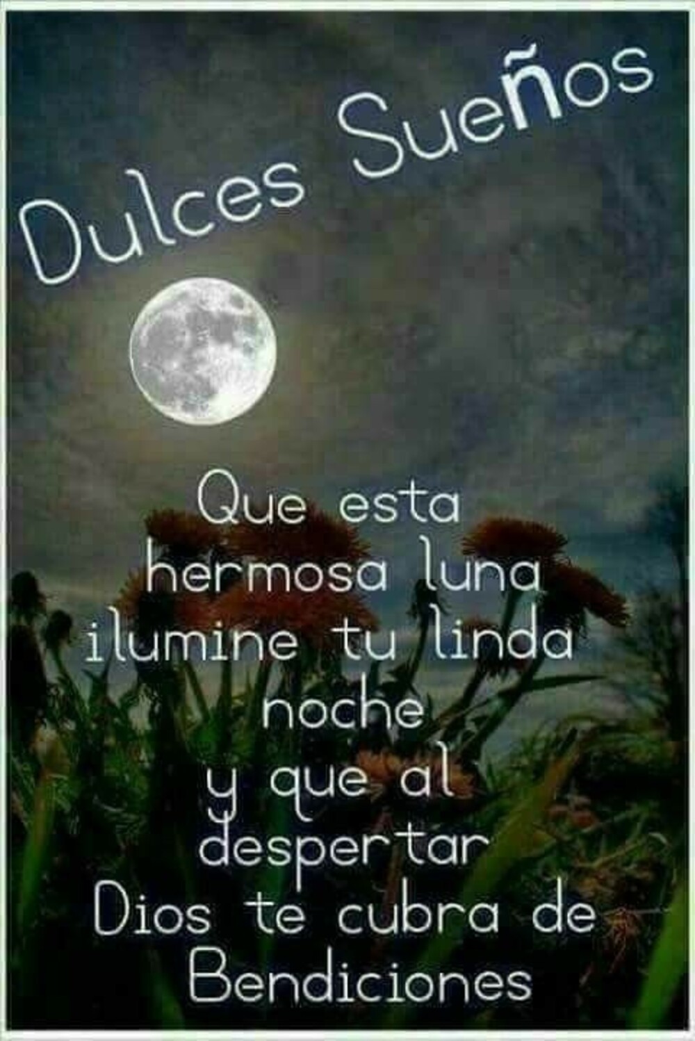 Dulces Sueños 4