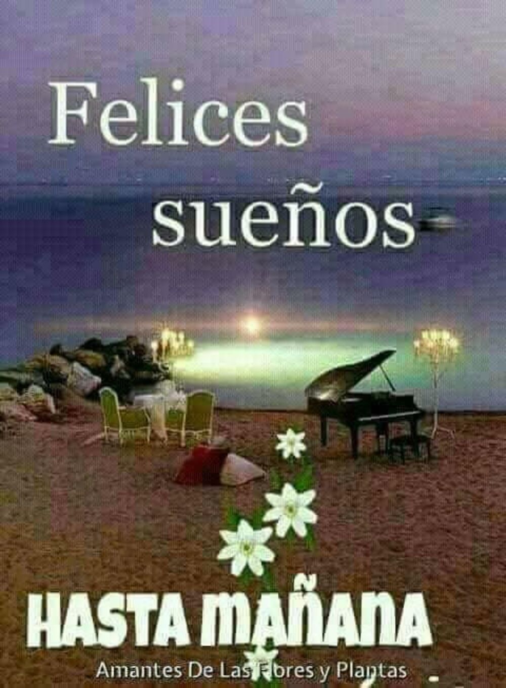 Felices Sueños Hasta Mañana imágenes gratis 7