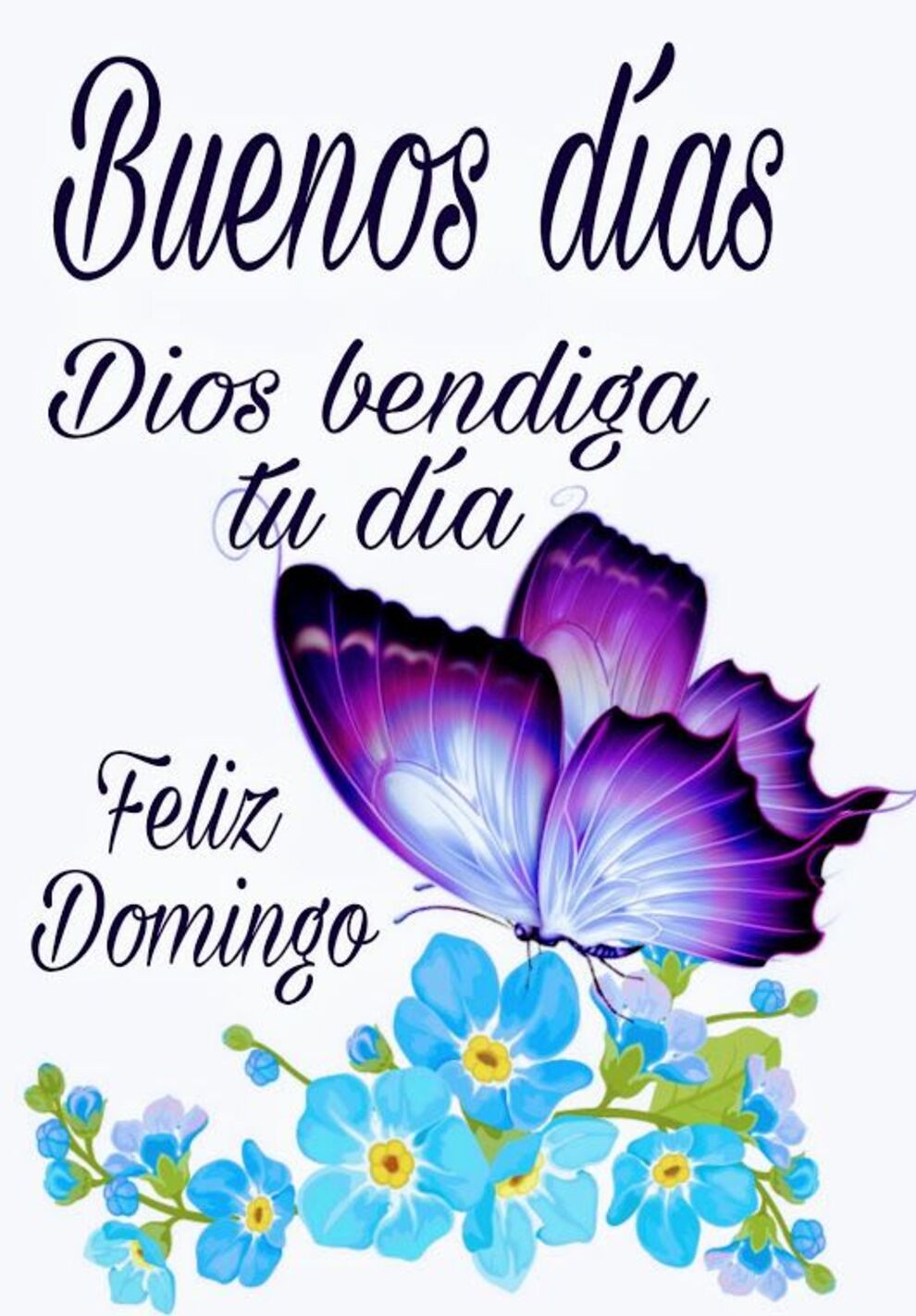 Feliz Domingo WhatsApp 10