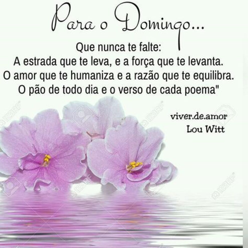 Feliz Domingo con frases positivas 5