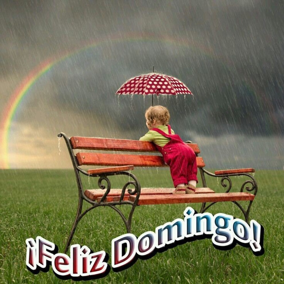 Feliz Domingo imágenes con lluvia (4)