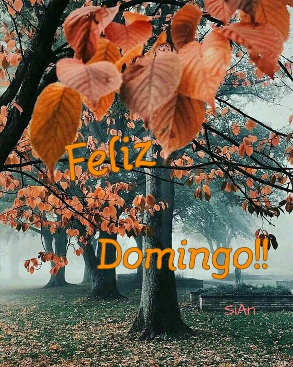 Feliz Domingo otoño (1)