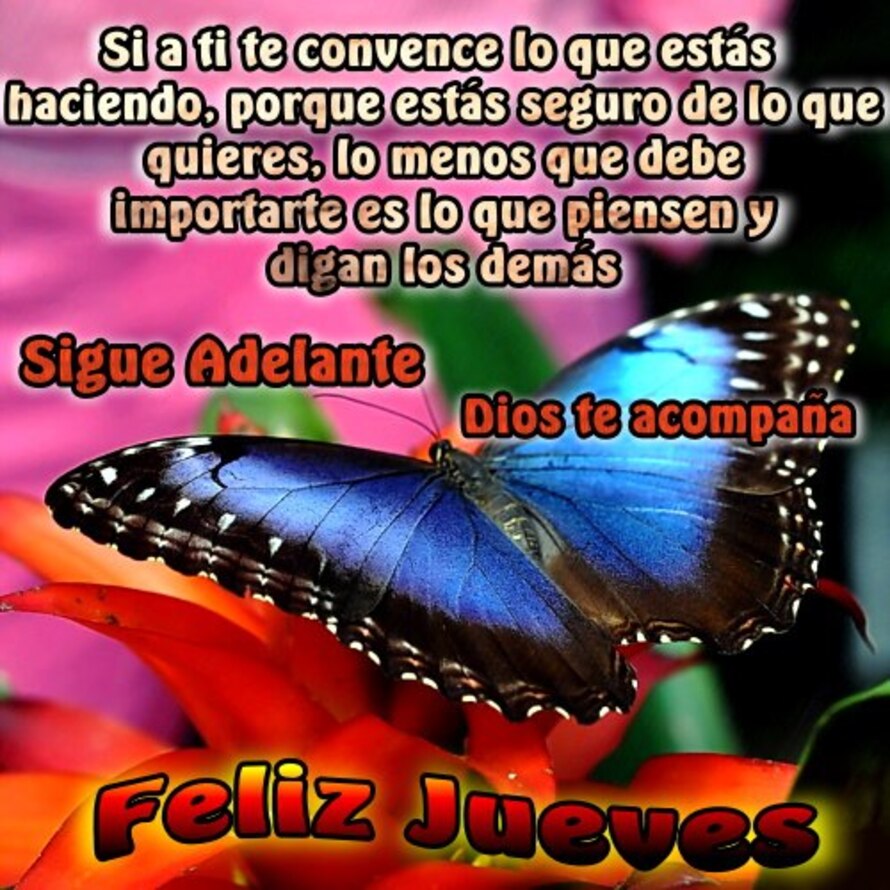 Feliz Jueves 6