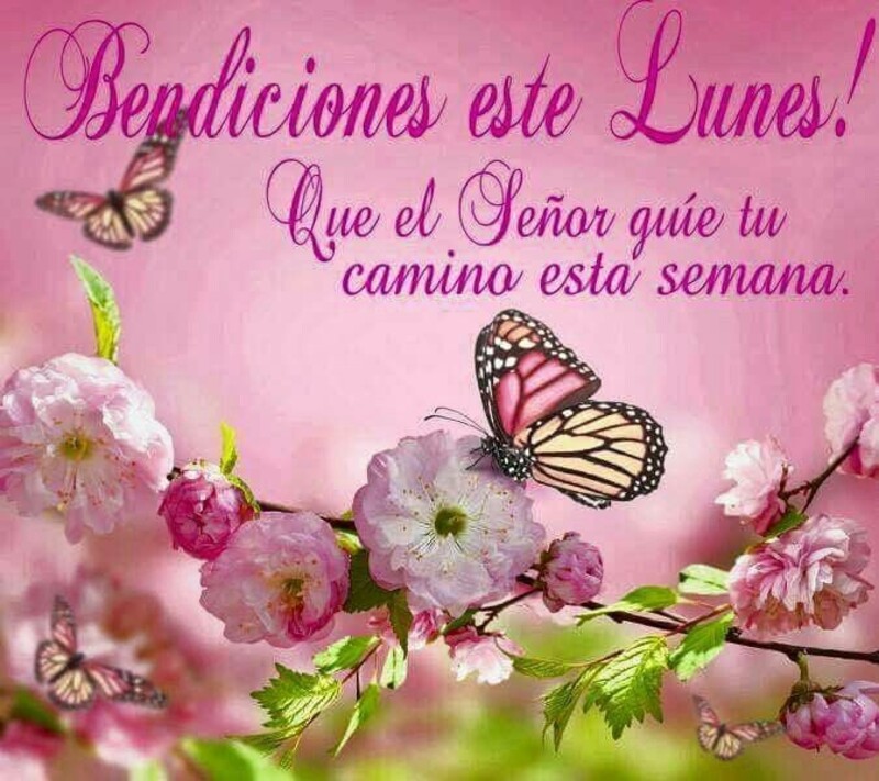 Feliz Lunes 10