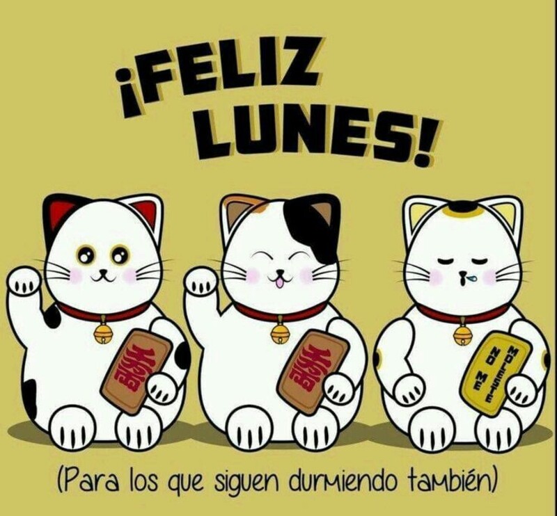 Feliz Lunes 9