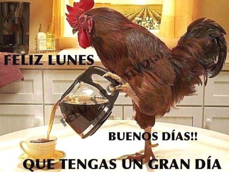 Feliz Lunes Buenos Días que tengas un gran día