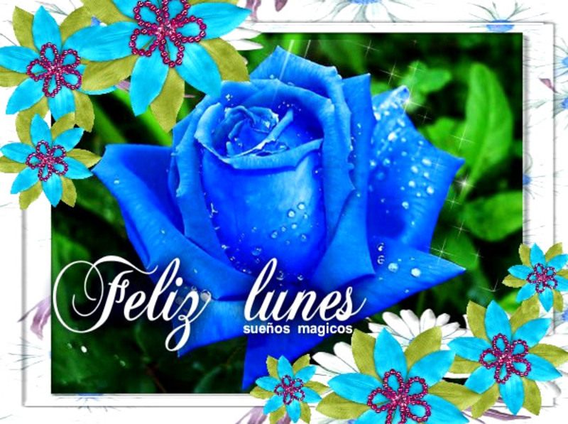 Feliz Lunes Pinterest 10