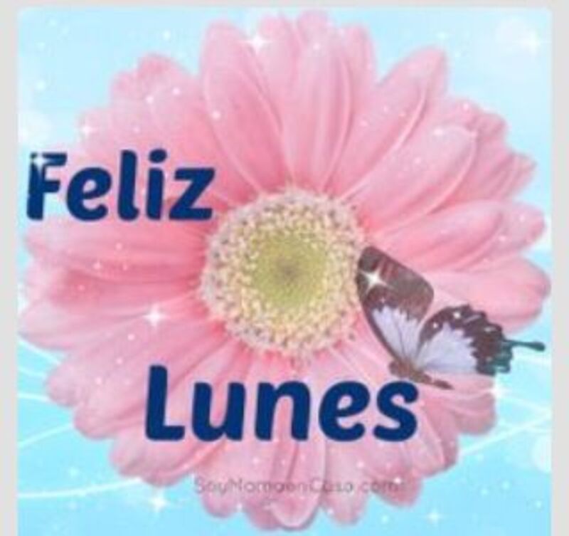 Feliz Lunes Pinterest 7