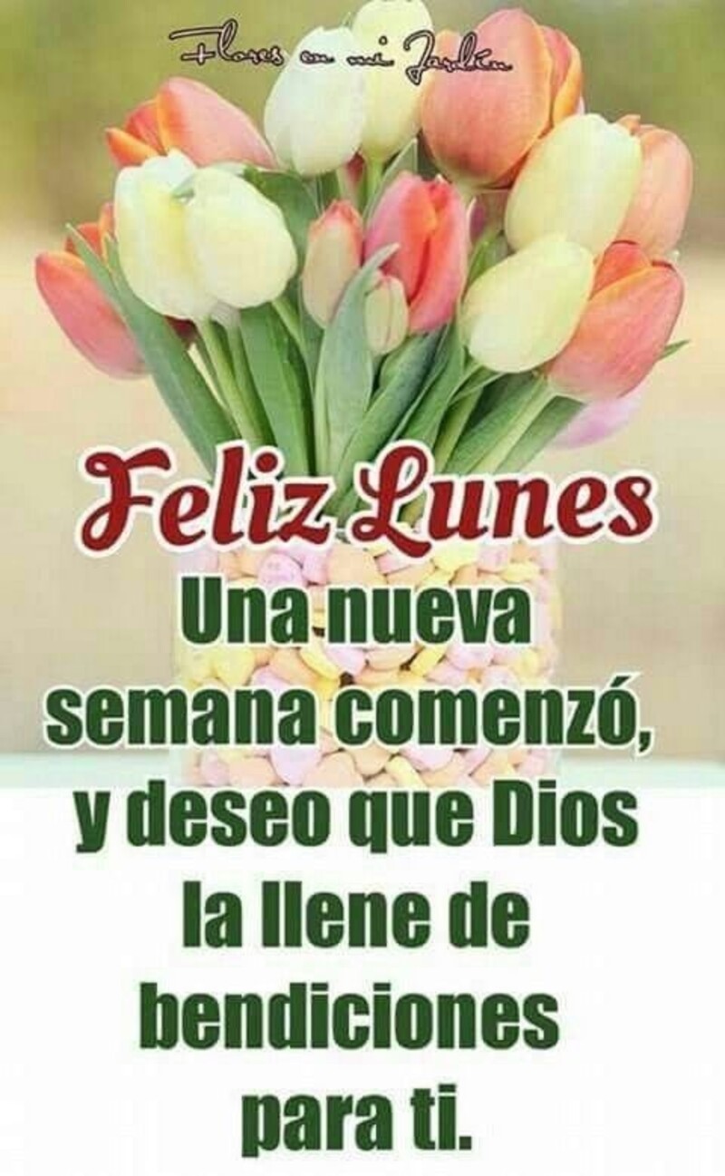 Feliz Lunes WhatsApp 7