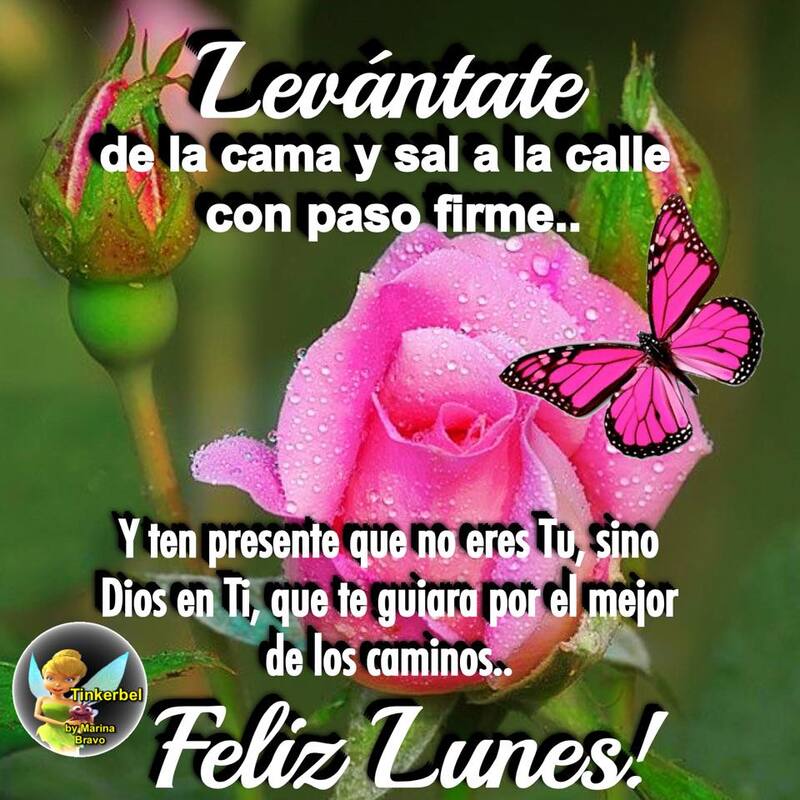 Feliz Lunes feliz inicio de semana 1