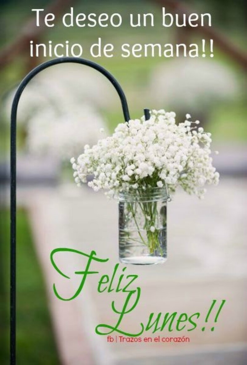 ┈̳━...┈═─̜፞┅፞━፞LA PALABRA DIARIA DEL  "LUNES" 8/2─═፞┅፞─፞...━̳─፞ Feliz-Lunes-feliz-inicio-de-semana-6