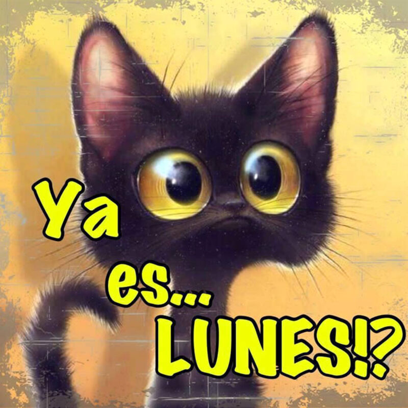 Feliz Lunes imágenes chistosas (4)