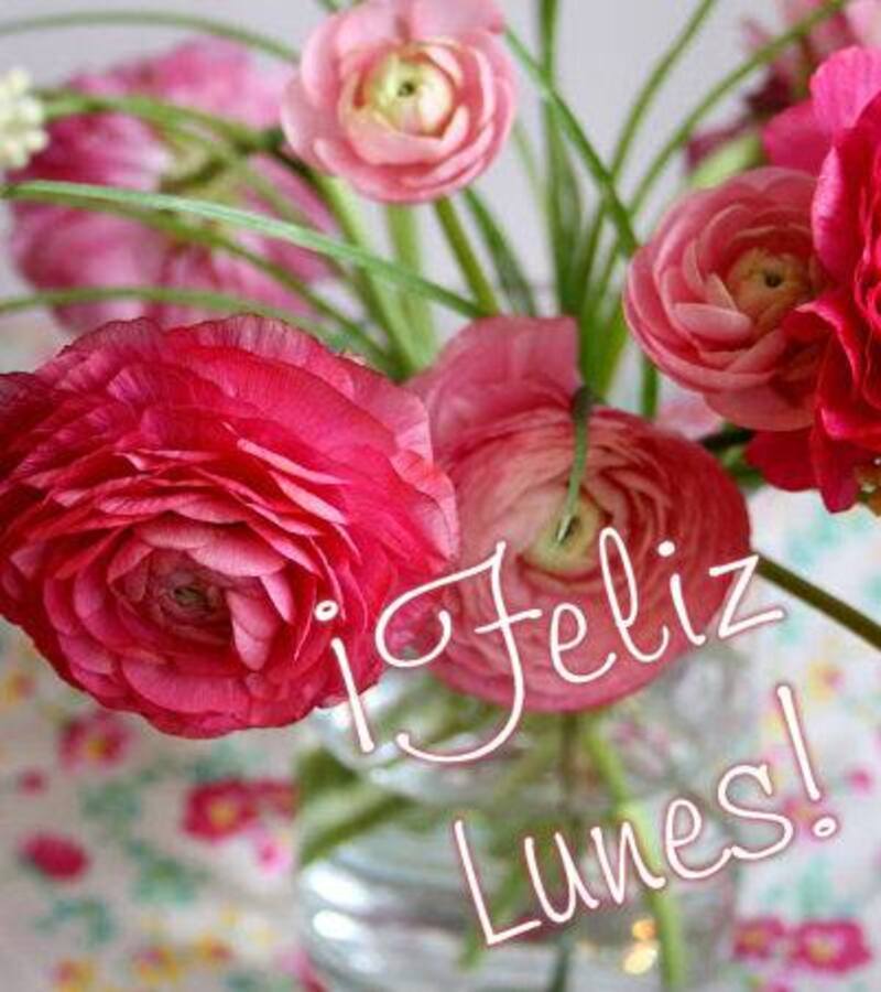 Feliz Lunes imágenes con flores (1)