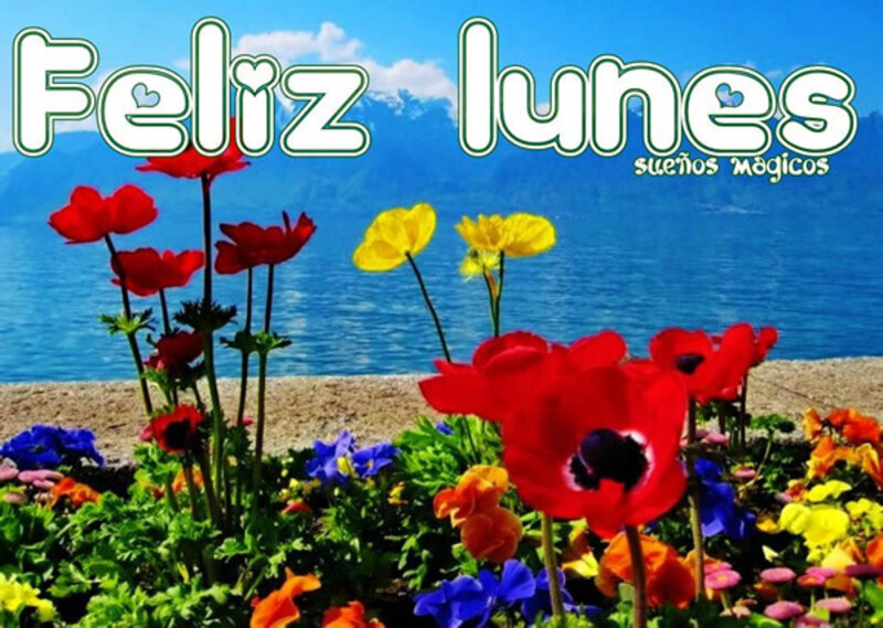 Feliz Lunes imágenes con flores (4)