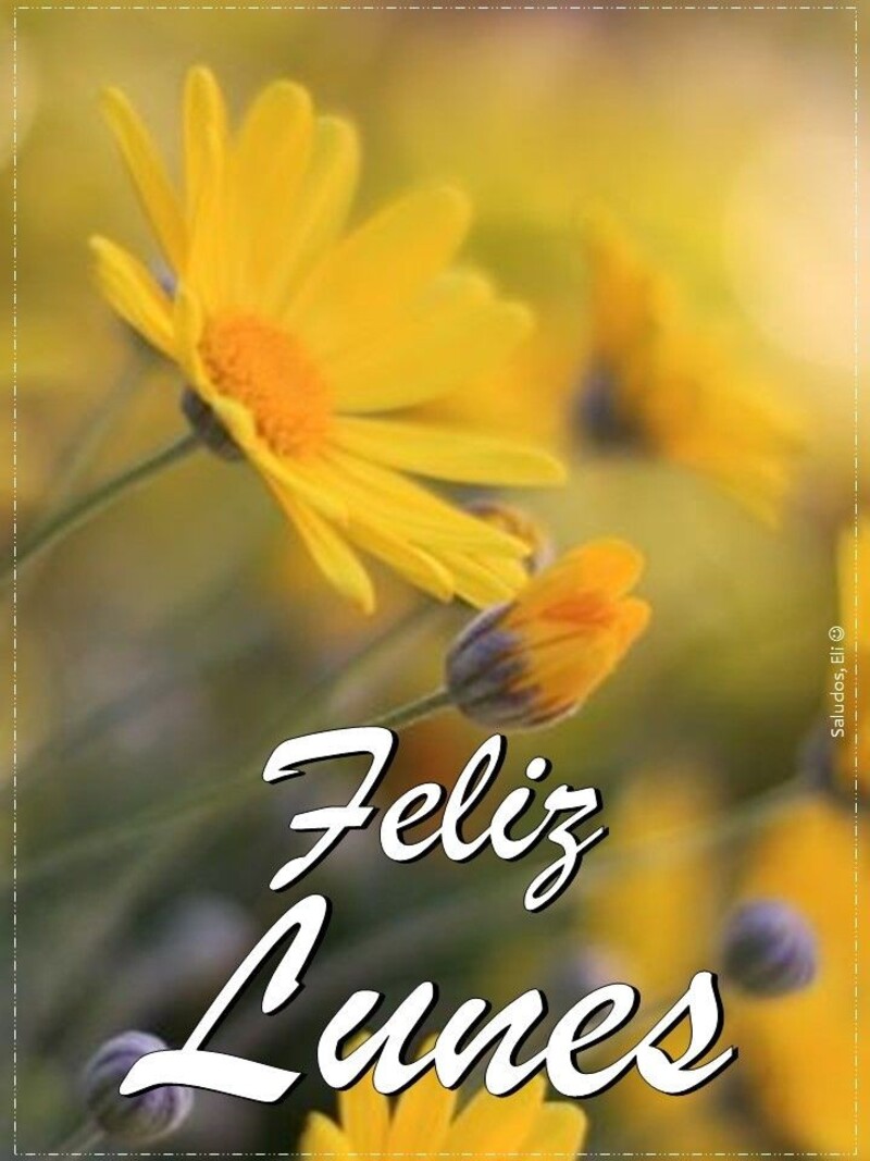 Feliz Lunes imágenes con flores (5)