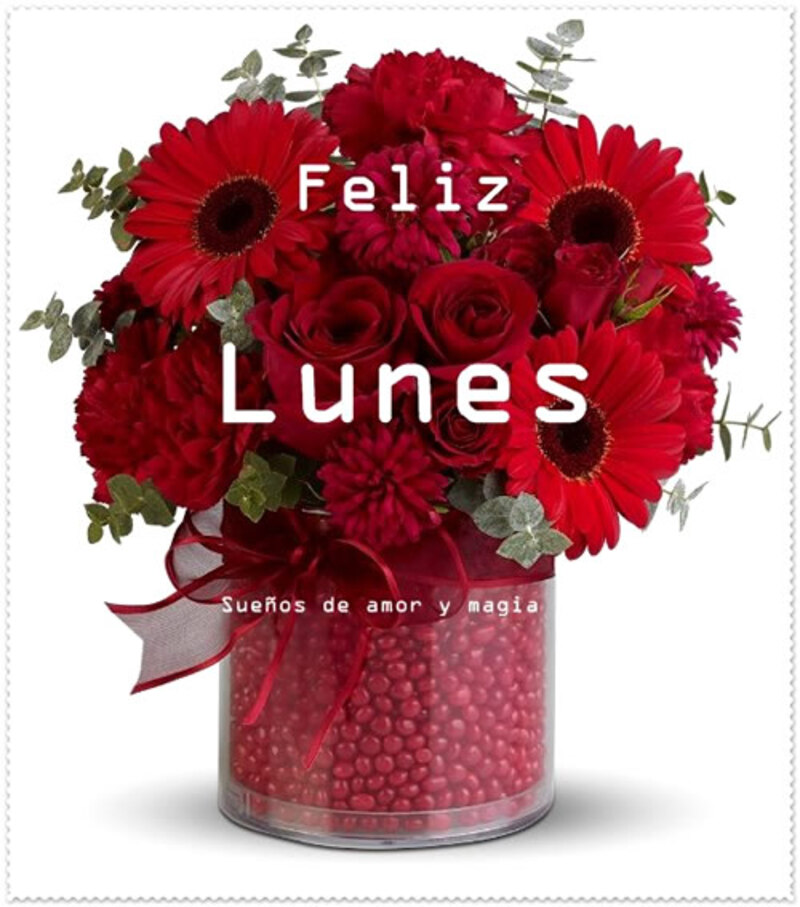 Feliz Lunes mi amor (2)