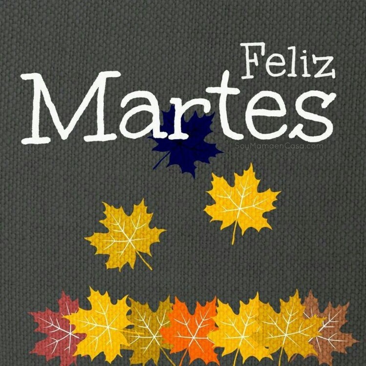 Feliz Martes otoño (1)