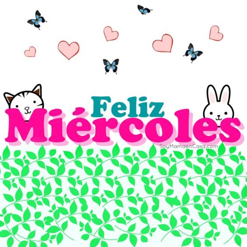 Feliz Miércoles 3