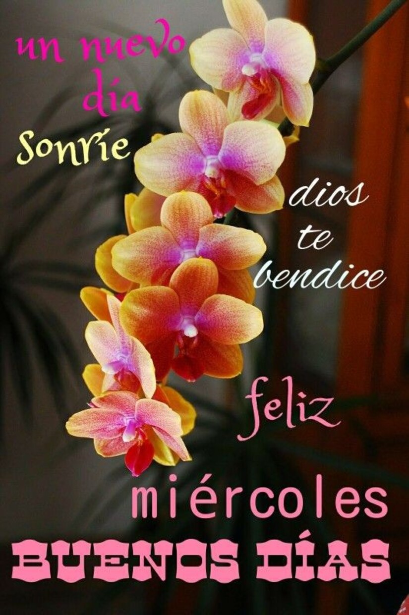 Feliz Miércoles a todos mis amigos de Facebook 7