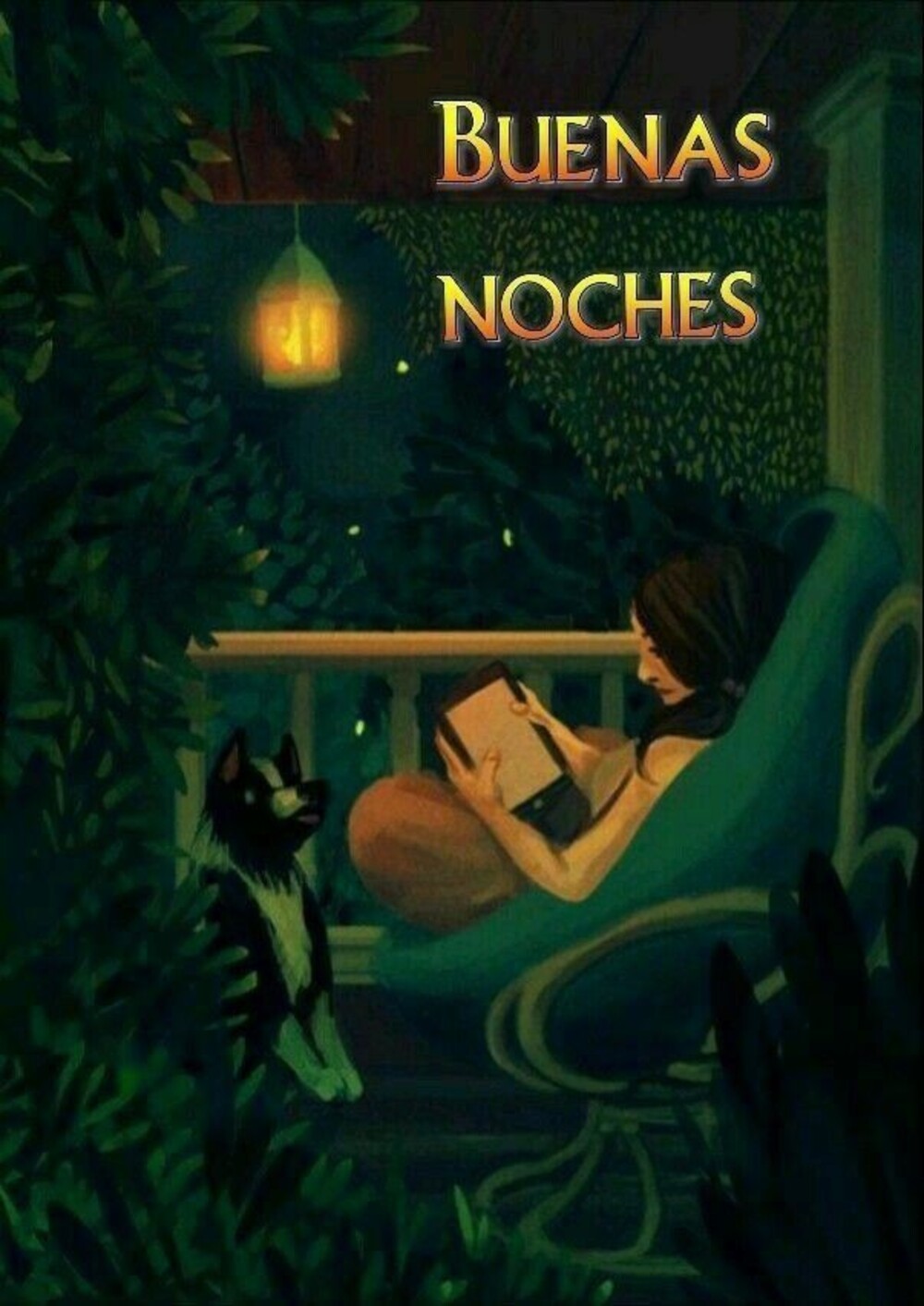 Feliz Noche 5