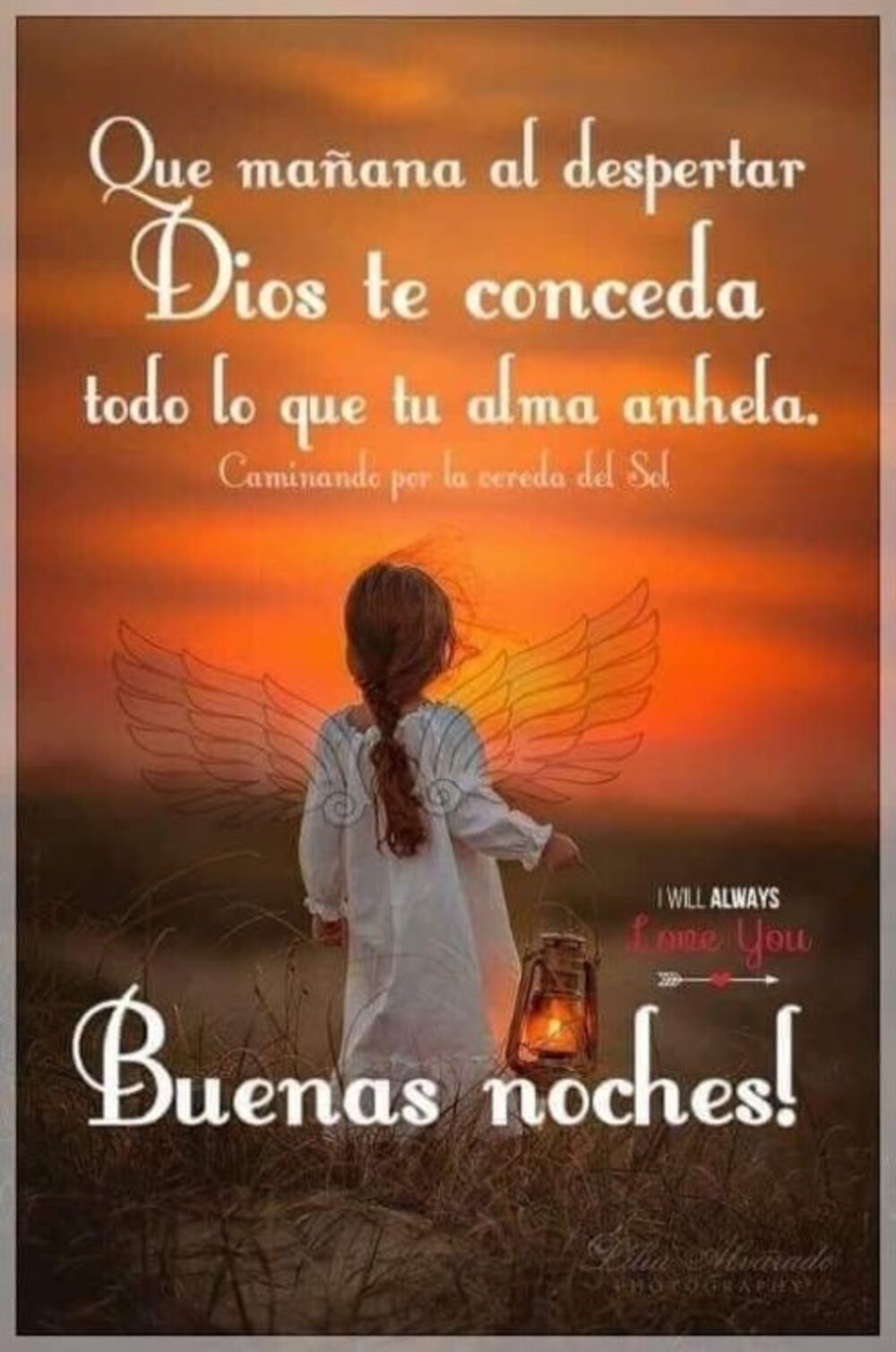 Feliz Noche Dulces Sueños 15