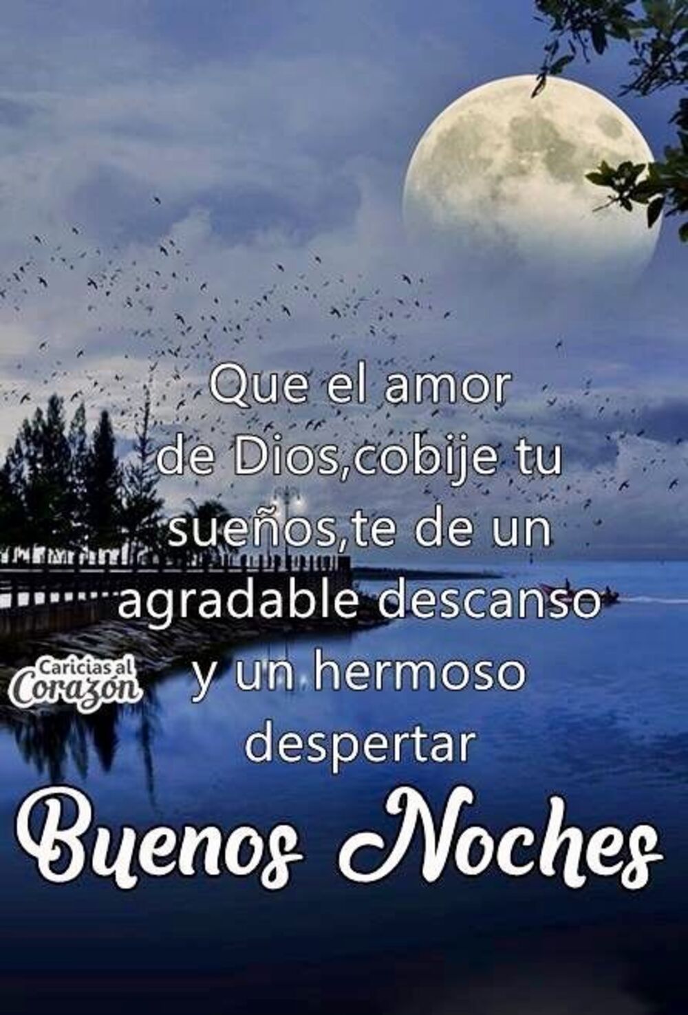 Feliz Noche bendiciones 6