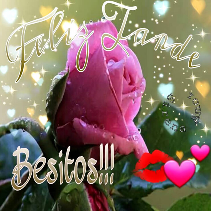 Feliz Tarde besitos