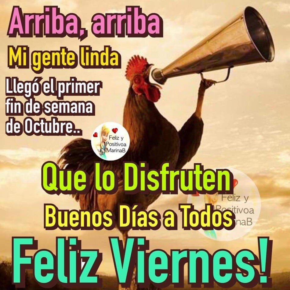 Feliz Viernes WhatsApp 8