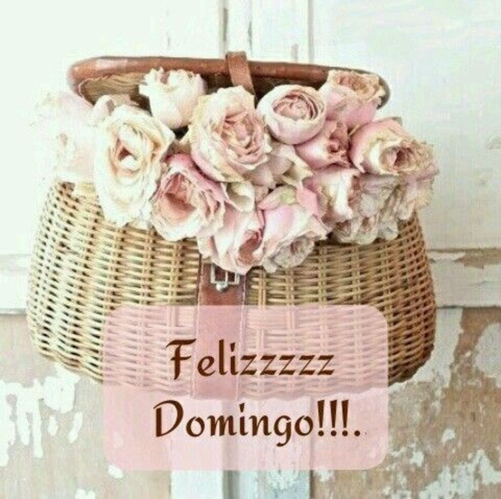 Felizzzzz Domingo