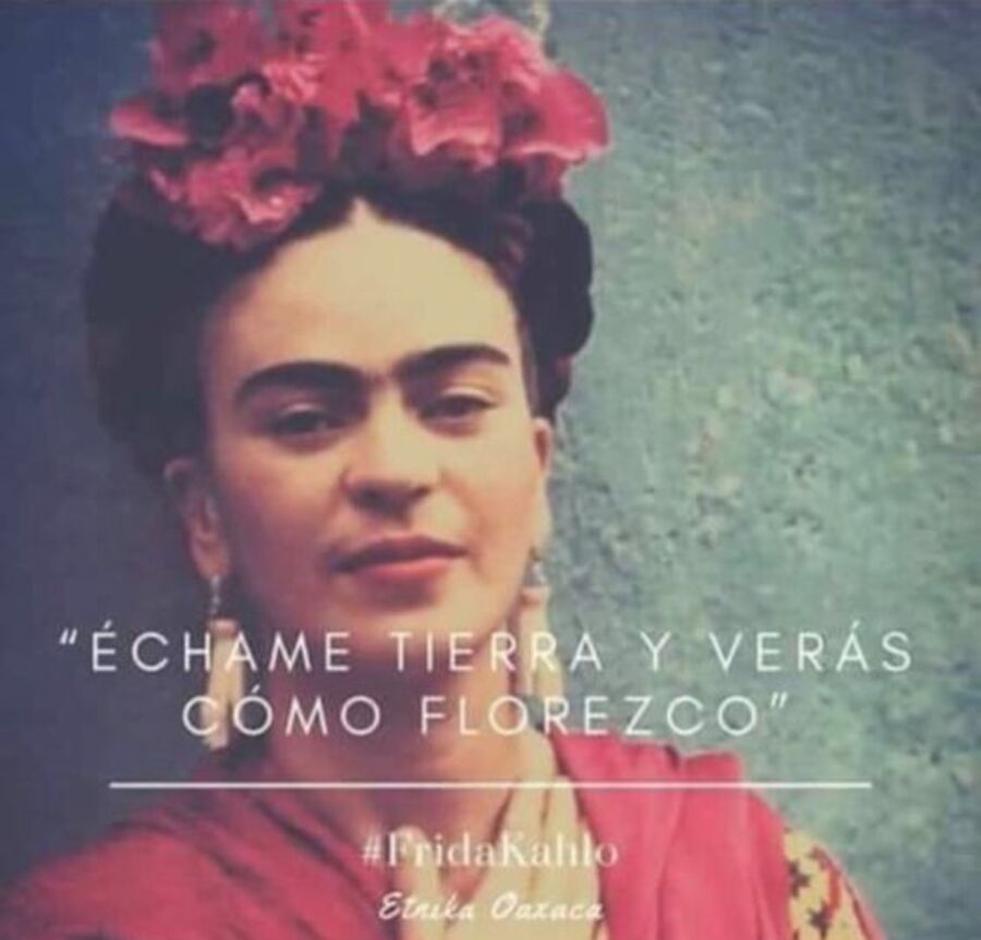 Frases Frida Kahlo (1)