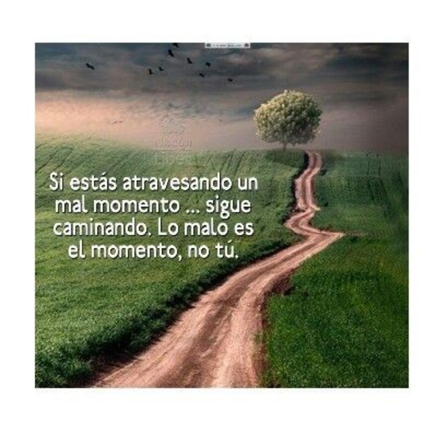 Frases Pinterest 5