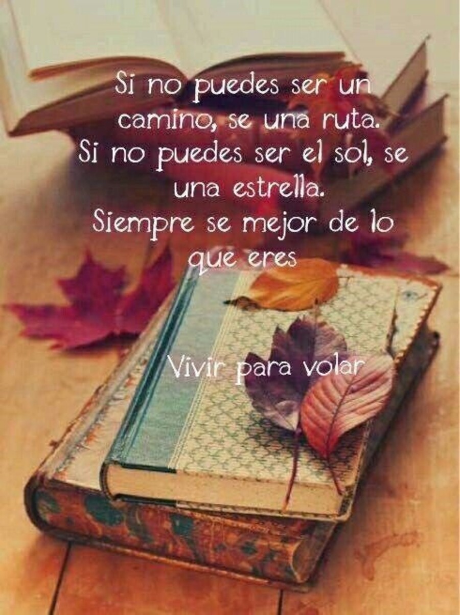 Frases Pinterest 6