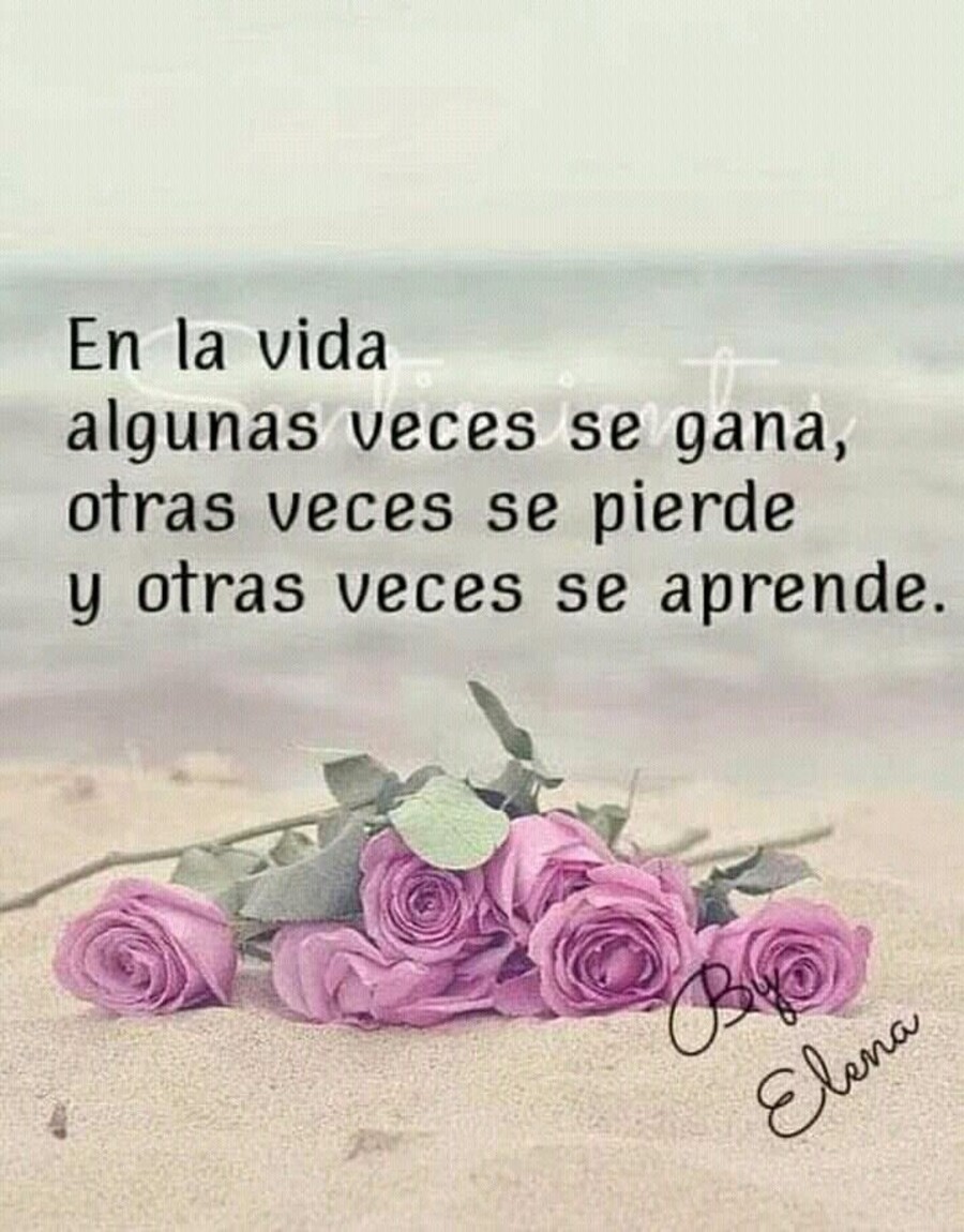 Frases bellas de la vida (21)