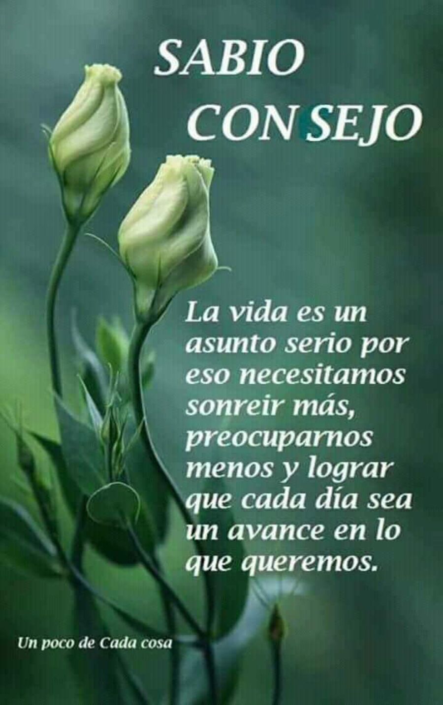 Frases bellas para WhatsApp 4