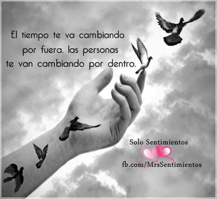 Frases bellas para compartir 7