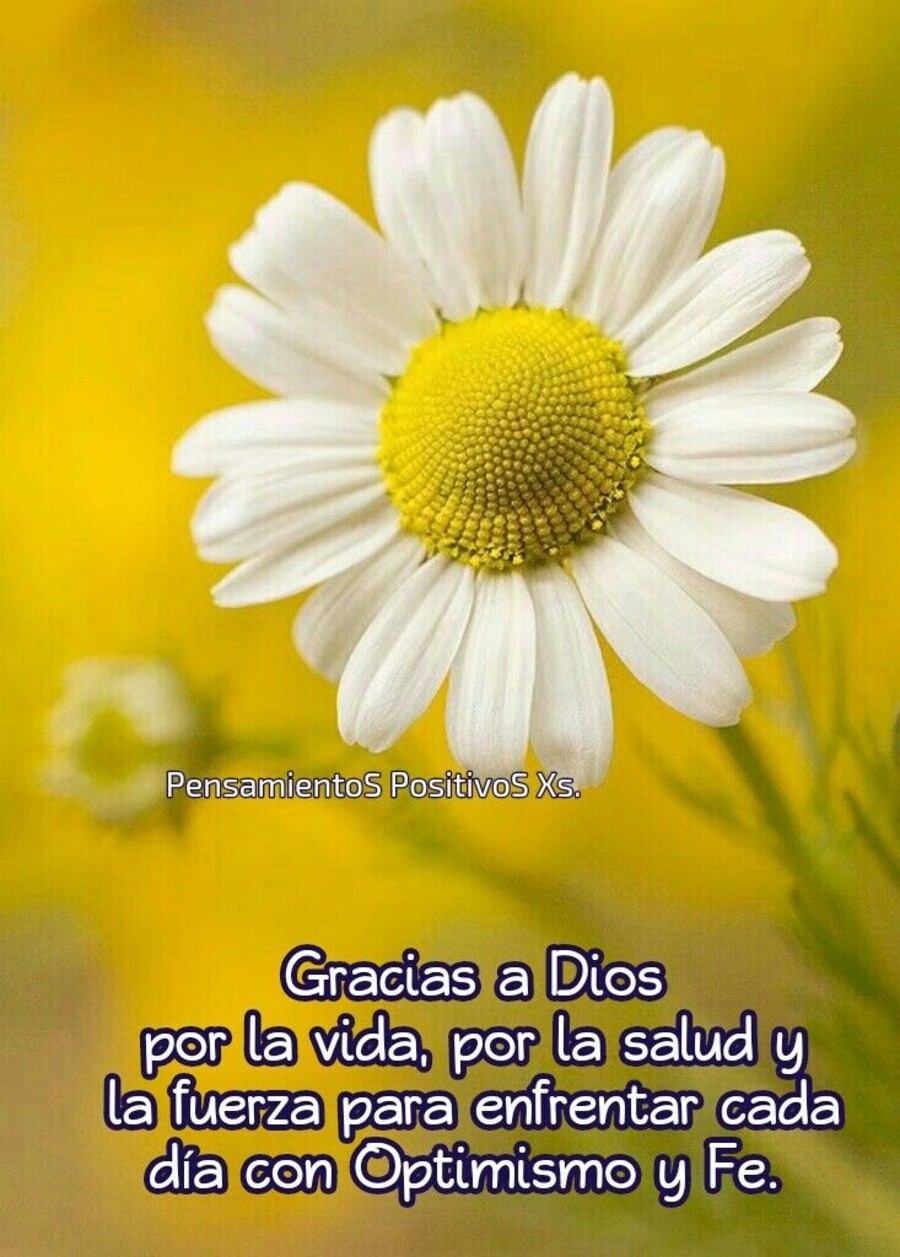 Frases bellas para descargar gratis 8