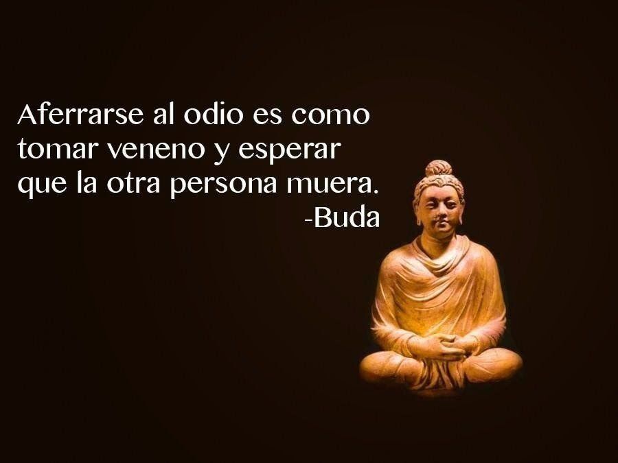 Frases cortas (3)