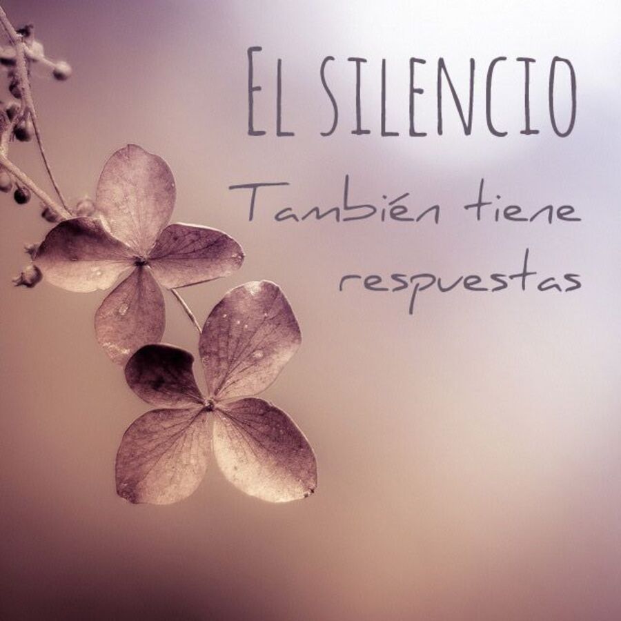 Frases lindas sobre el silencio