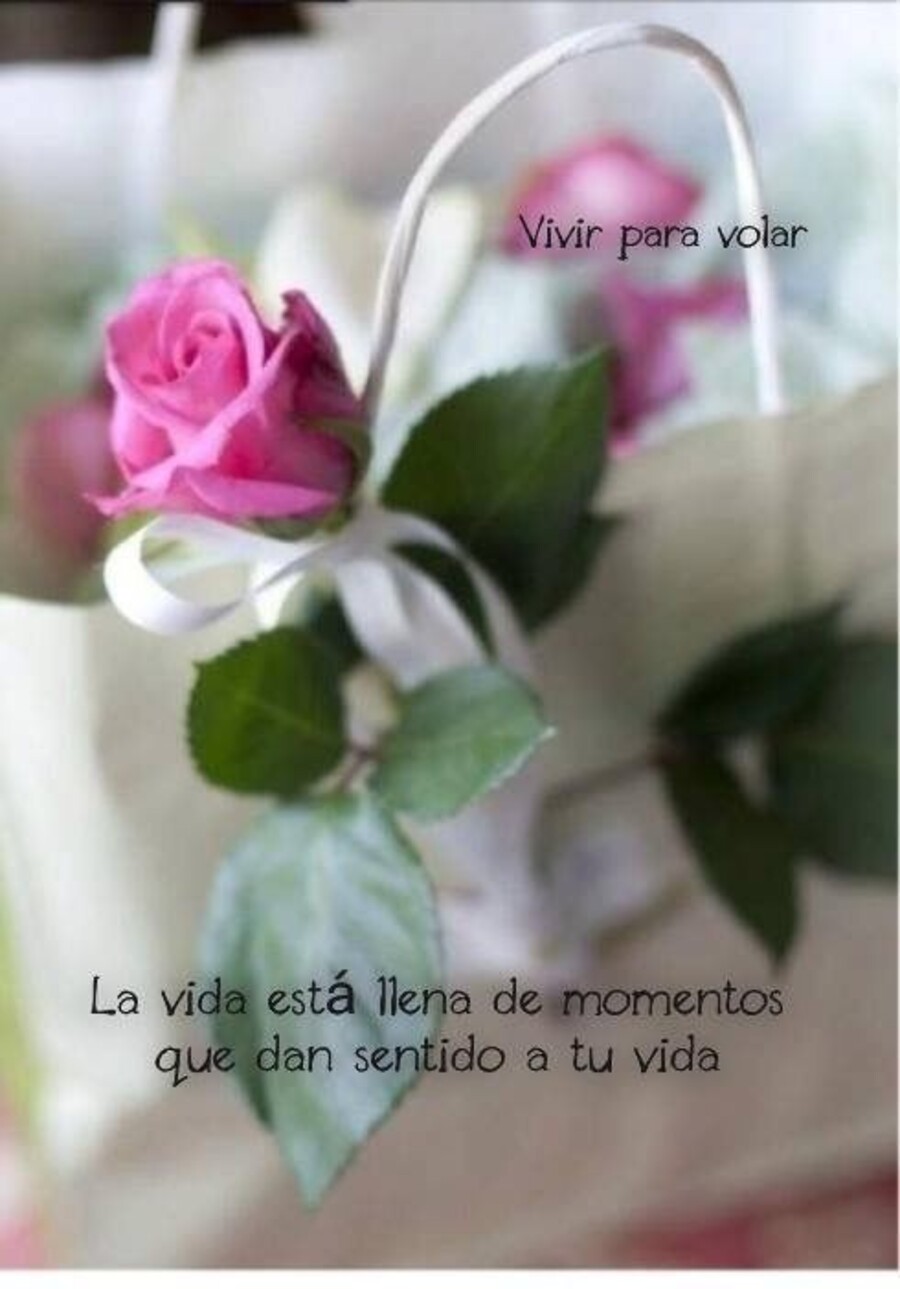 Frases mensajes y citas Pinterest 16