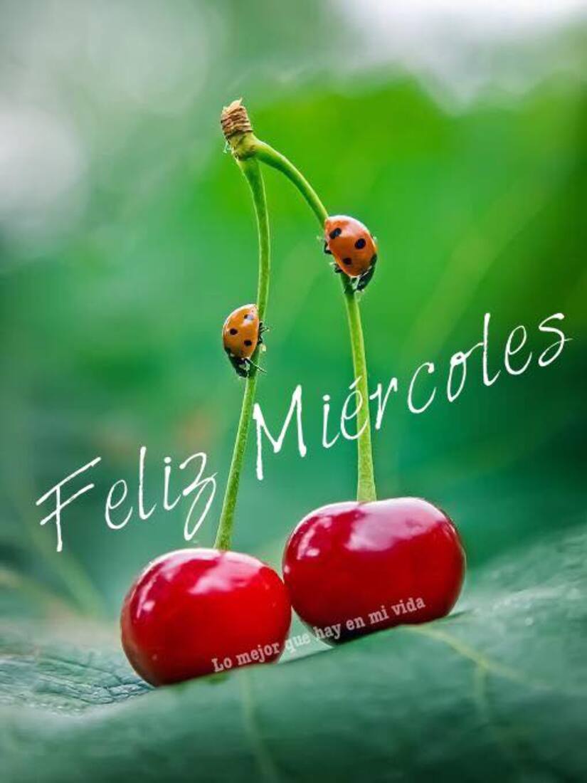 Frases y imágenes hermosas para Feliz Miércoles Pinterest 5